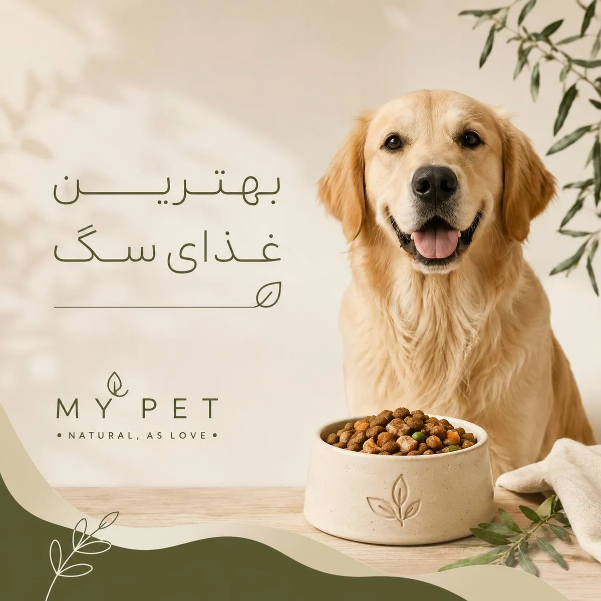 بهترین غذای سگ چیست؟ راهنمای کامل تغذیه سگ در سنین مختلف